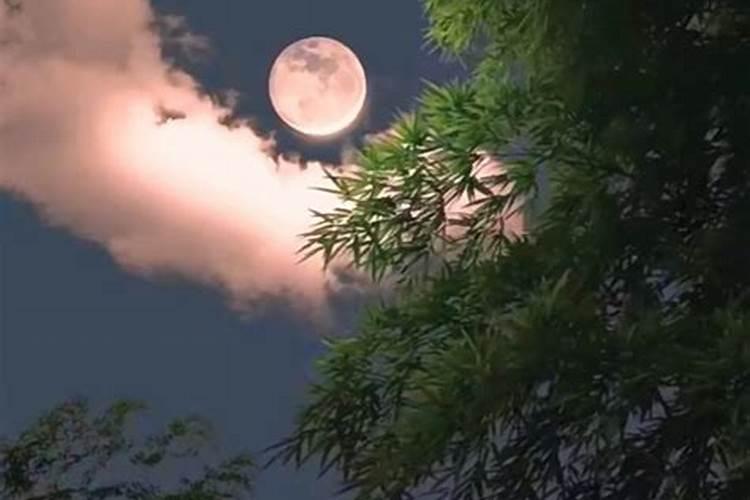 还有几天8月15中秋节