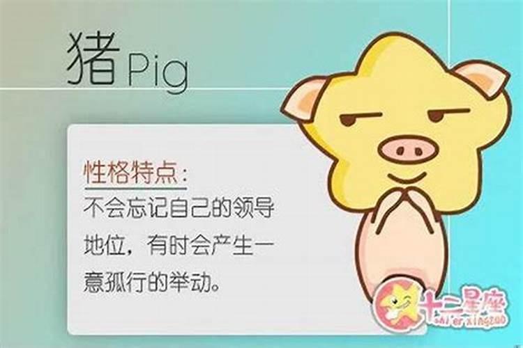 2000年属龙男一生命运 2000年属龙男一生运势