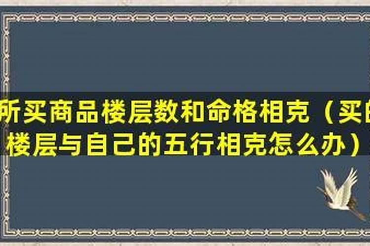 属兔的在龙年为什么不顺