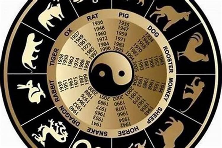 2024年属蛇的总体运程每月运程详解
