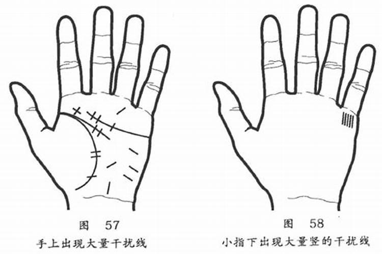 属兔的和属猪的八字能在一起合作吗 合不合财？