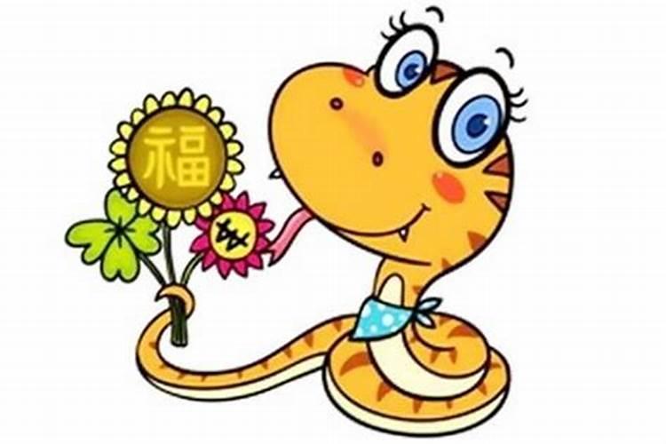 属蛇多大年龄