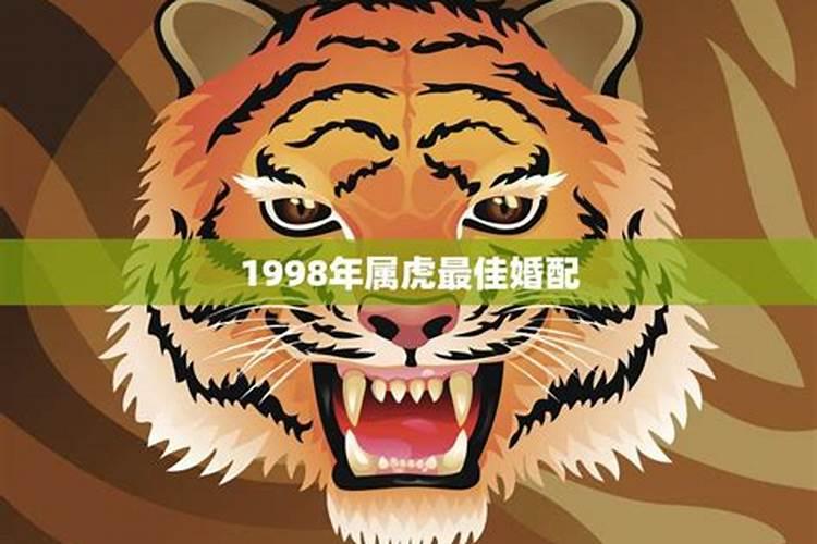 属狗的和属虎的婚配好不好呢