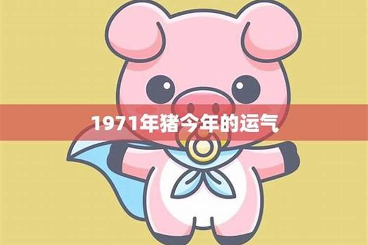 生肖猪1971年2025年运势如何 生肖猪1971年2025年全年运势