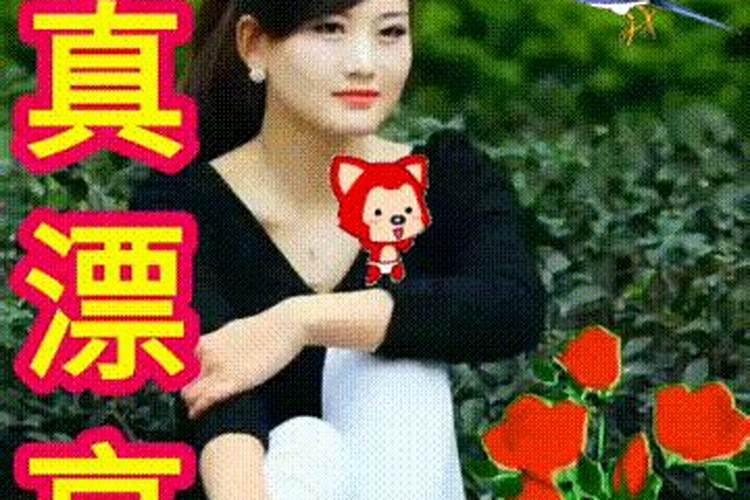 猪人2025年全年运势运程
