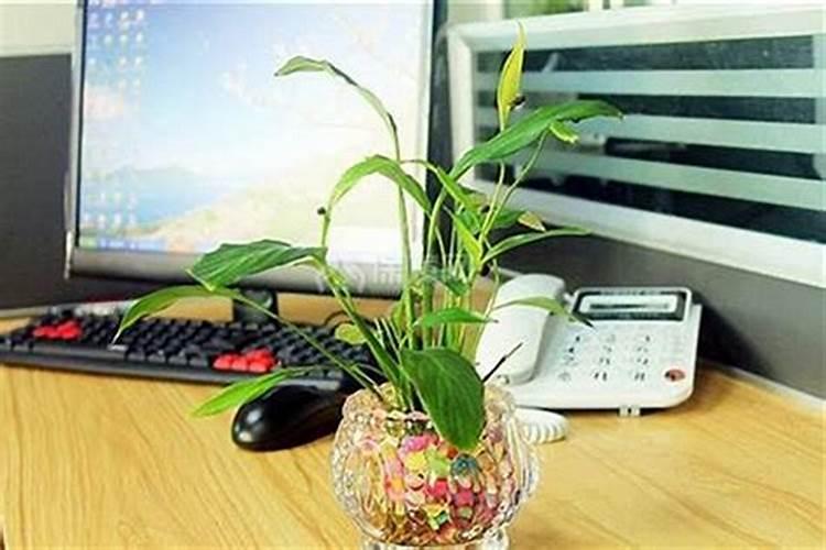 办公桌面摆放什么最旺运