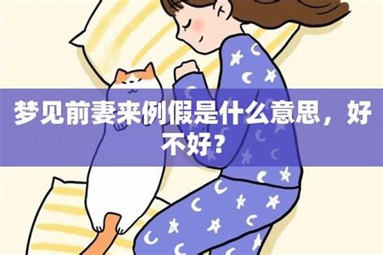 常常梦见前妻是什么意思