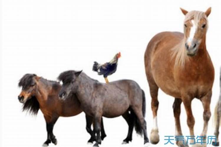 孔子说:不知命,无以为君子。那什么是命呢？