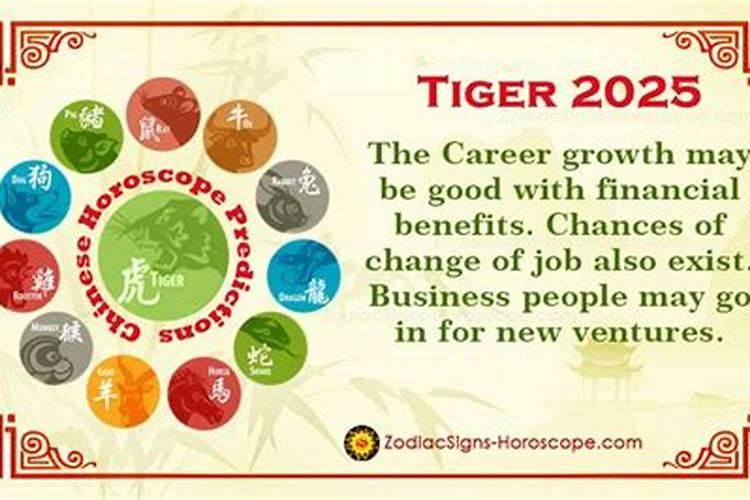 属虎的人在龙年会有好运受到幸运星的保护