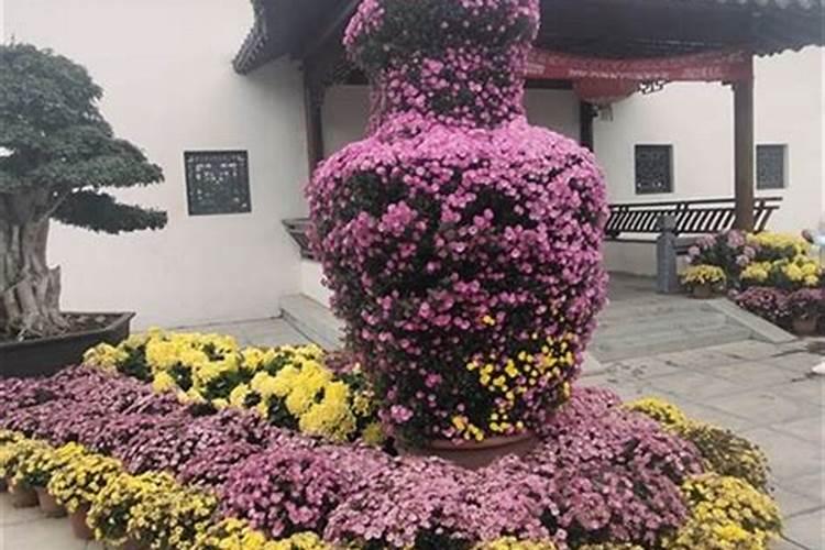 梦见坟墓前有水