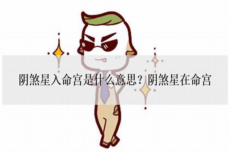 94年的狗在2025年的全年运势
