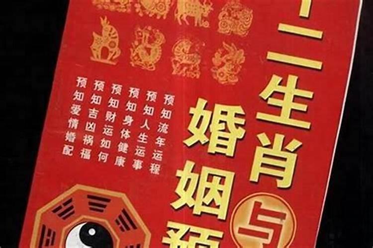 用什么软件可以测试婚姻,有什么软件测感情比较准？