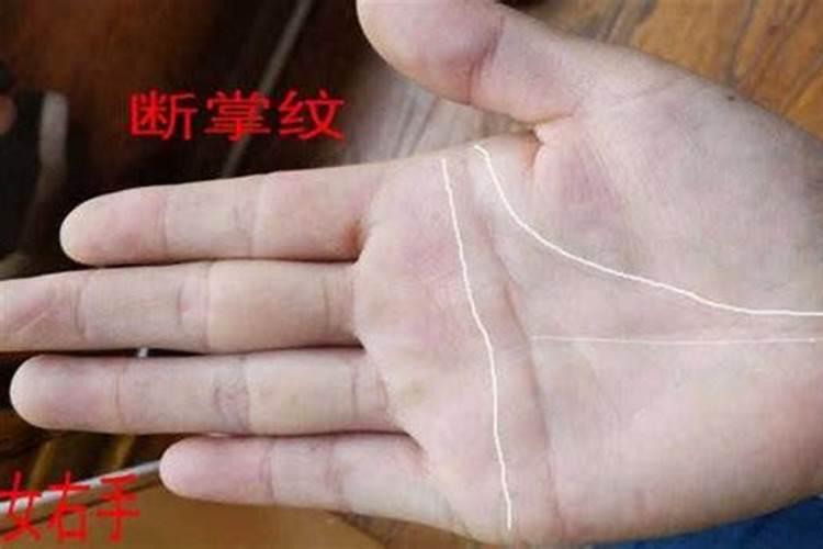 女人梦见蛇追着咬我