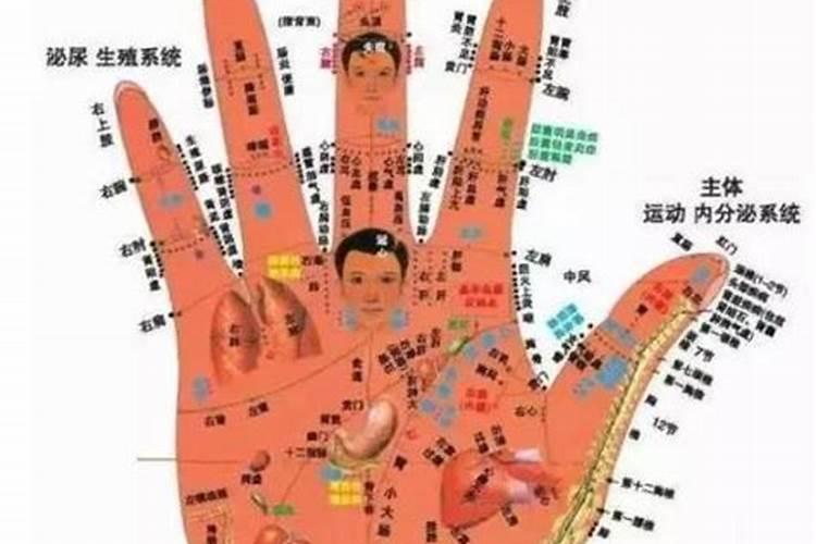 感情线怎么看几段姻缘,感情线看婚姻状况？