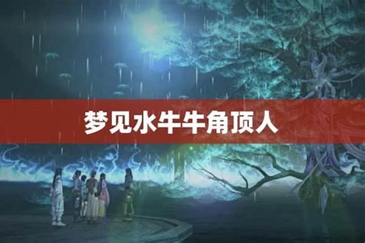 梦见自己看到有人坐在粪池里