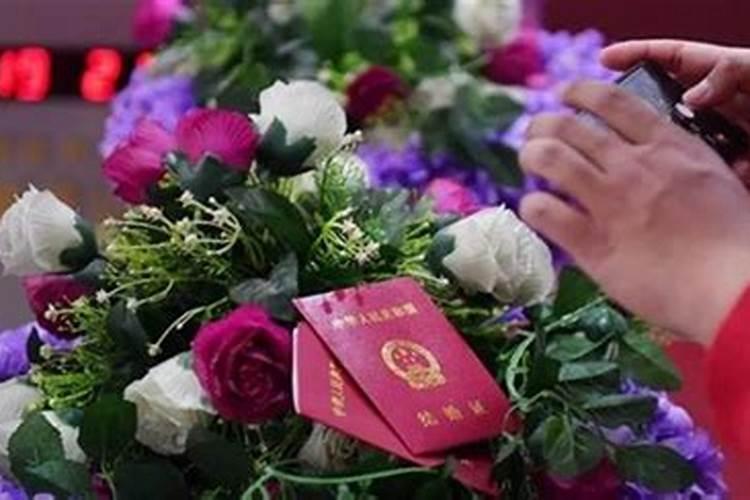 女属羊和男属猪的婚配好吗羊和男属猪的婚姻如何