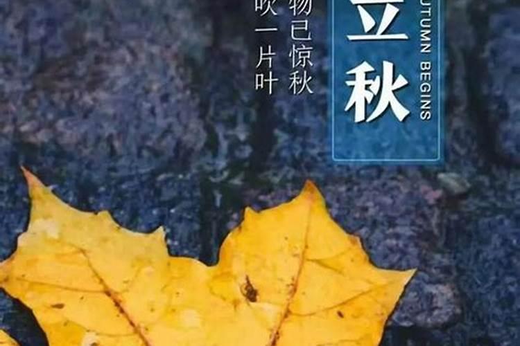 1975属兔女在2025年的每月运势
