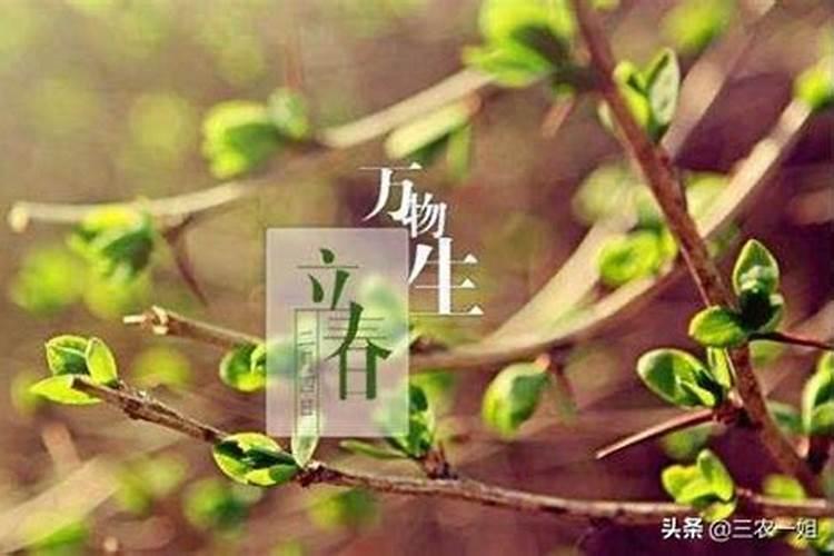 立春的习俗是什么？