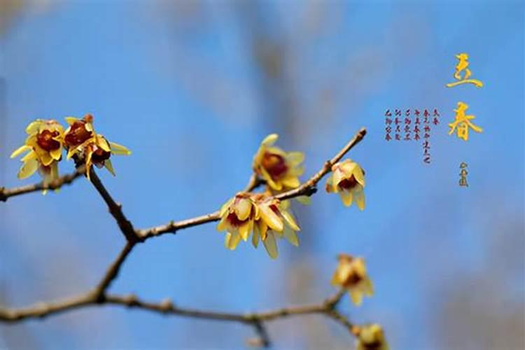 立春的习俗是什么