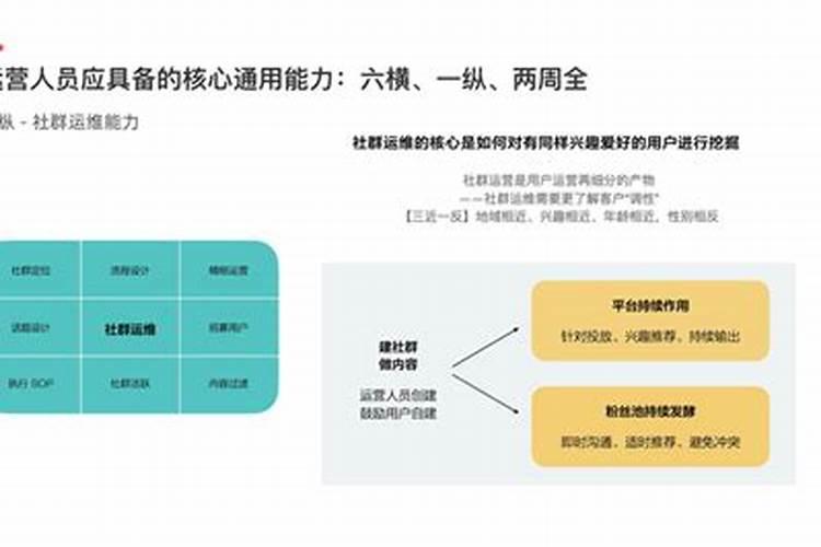 如何提高策划能力