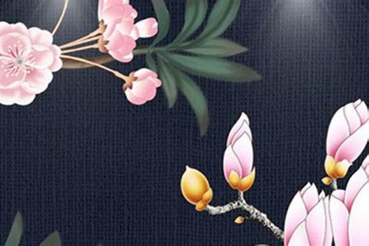寅未暗合婚姻宫 分析什么是暗合