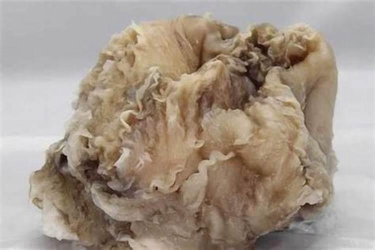 太岁是什么东西 数万年才能形成的延寿珍品肉灵芝(2)