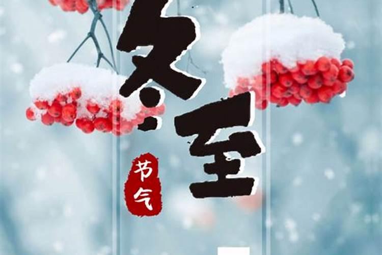 壬寅年犯太岁的四大生肖