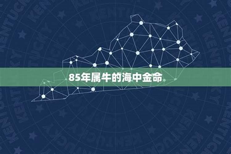 1985年属牛人的一生 乙丑牛年生海中金命？
