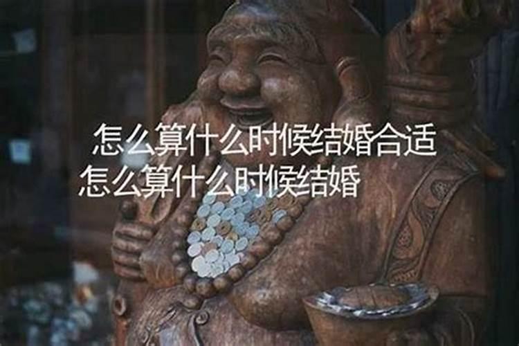 2025年属猪的全年运势