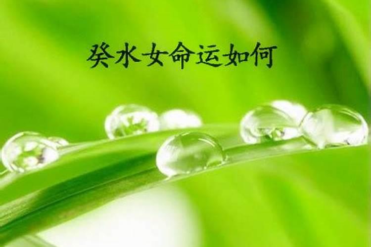 男狗女羊婚姻是否相配