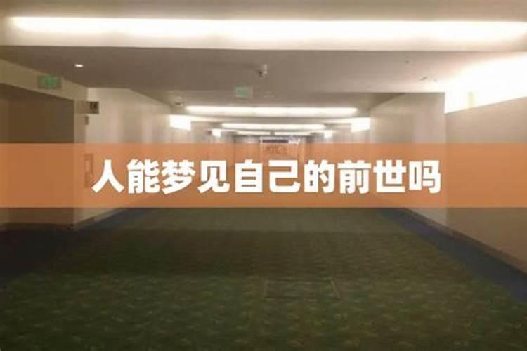 梦见野鸡仔的预兆