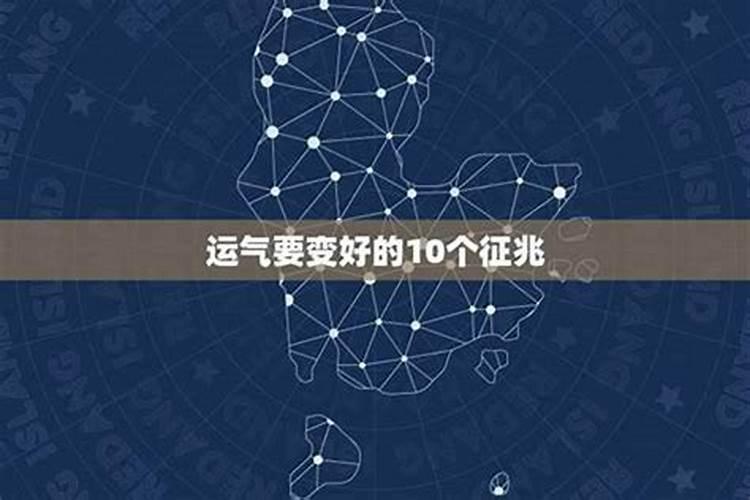 梦见别人送的鱼是活的