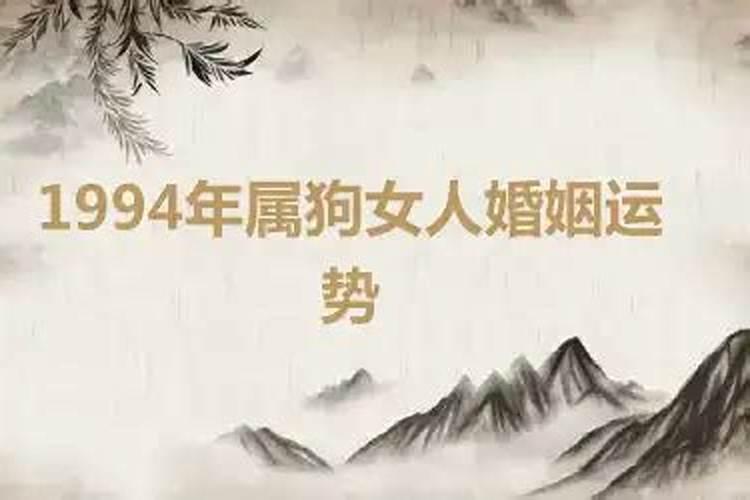 1984年属鼠女1994年属狗男婚姻合适吗？