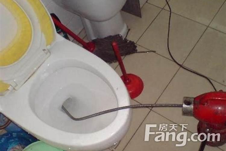 我是73年农历十月初一生的,请问命运如何