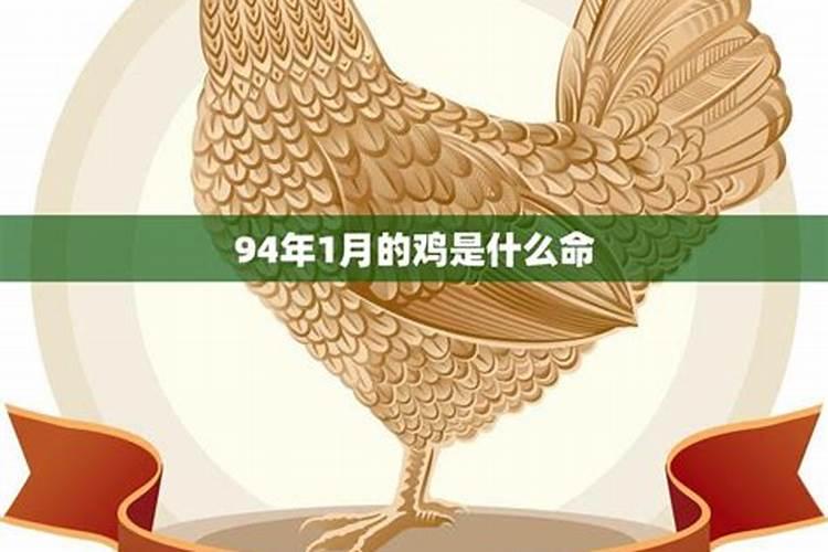1981年属鸡男2024年每月运程怎么样