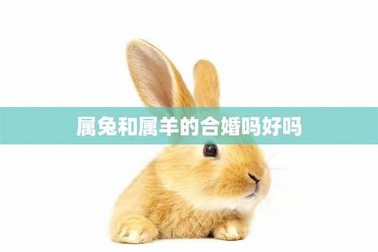 梦见找到了女朋友的预兆