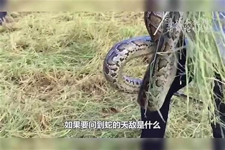 婴灵,不知道大家相信吗
