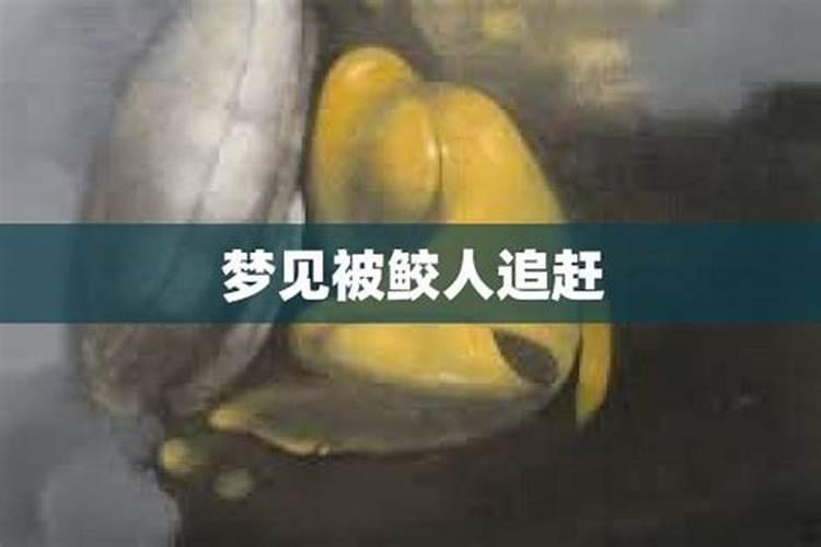梦见马桶有鱼的预兆