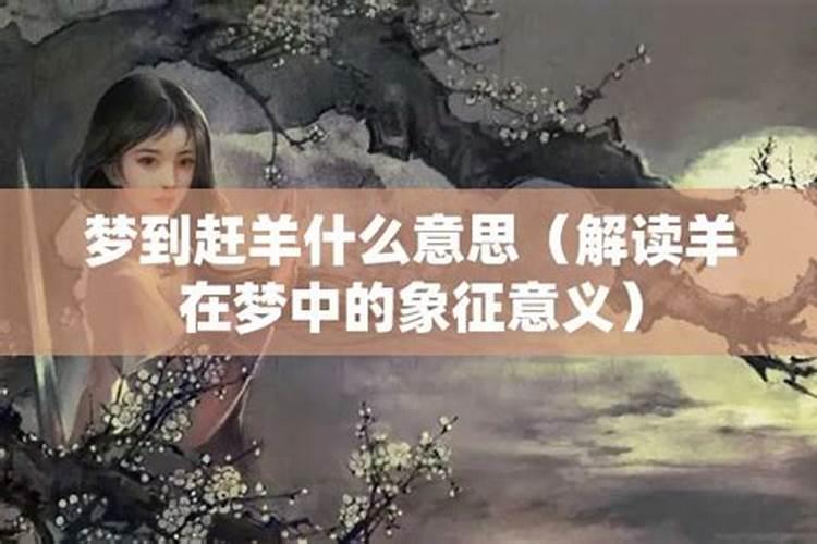 梦见和老婆一起上坟的预兆