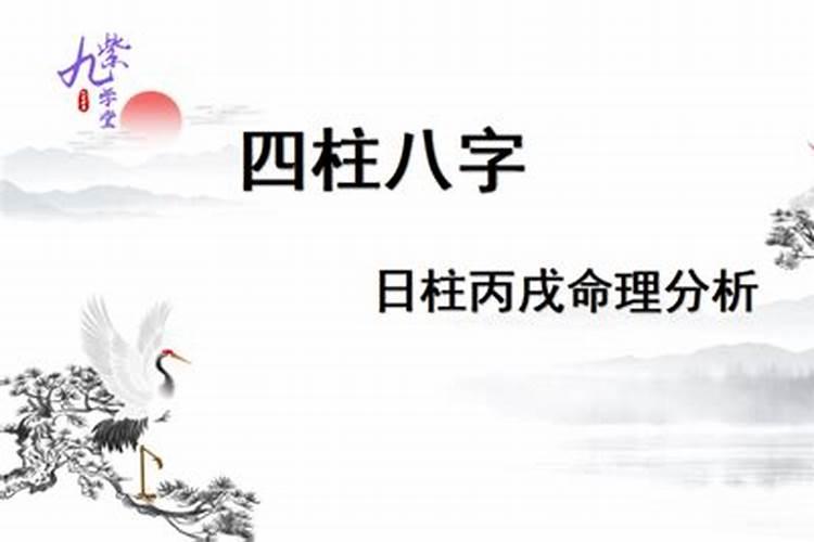 1978年农历2月25日晚上8点30分出生的人生肖五行是什么
