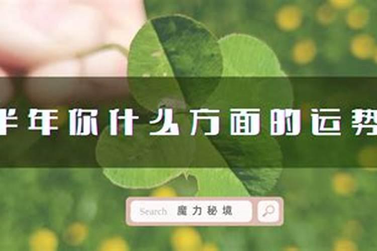 属狗人2025年农历各月的运势及运程