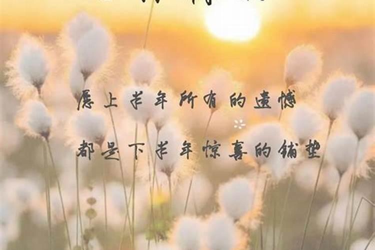 测试你2022年运势 测试你接下来哪方面运势更好