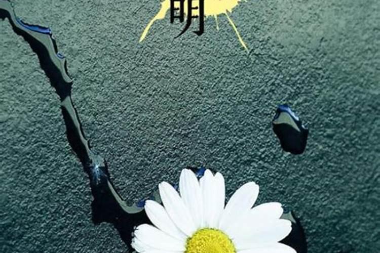 清明节不能回去给去世的父亲上坟感慨句子