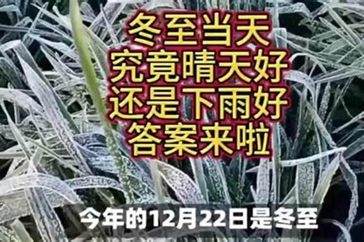 1975农历八月初八出生女运气如何