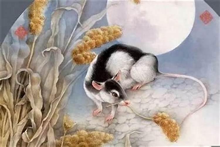 84年属鼠的农历7月15日是什么命