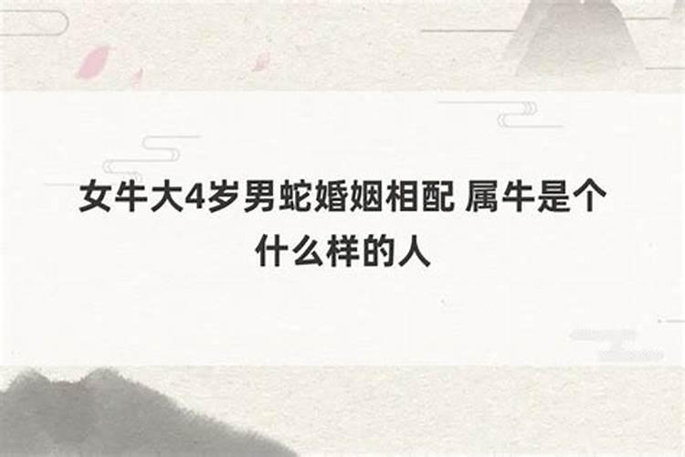 女的属蛇和男的属牛配