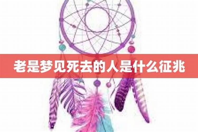 什么植物旺事业旺财旺事业风水的植物有哪些