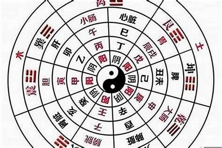 生辰八字不用怎么处理,可以烧吗