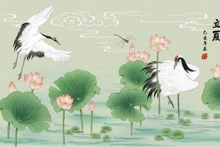 4月5号清明节出生的人