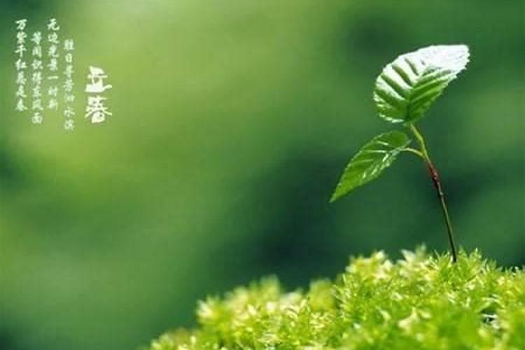 风水家中老是破财怎么化解？